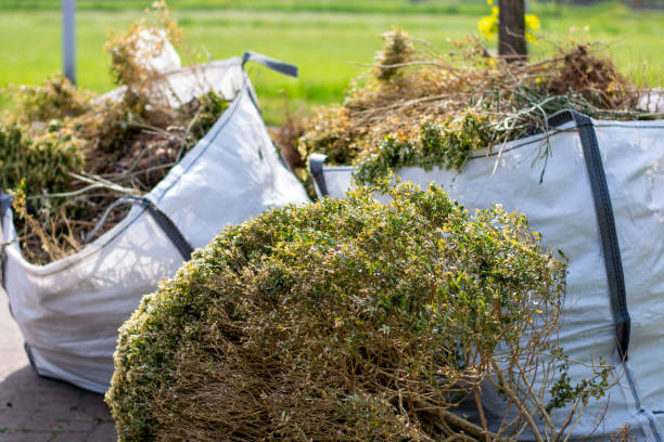 Shed Removal in Lowell, OR